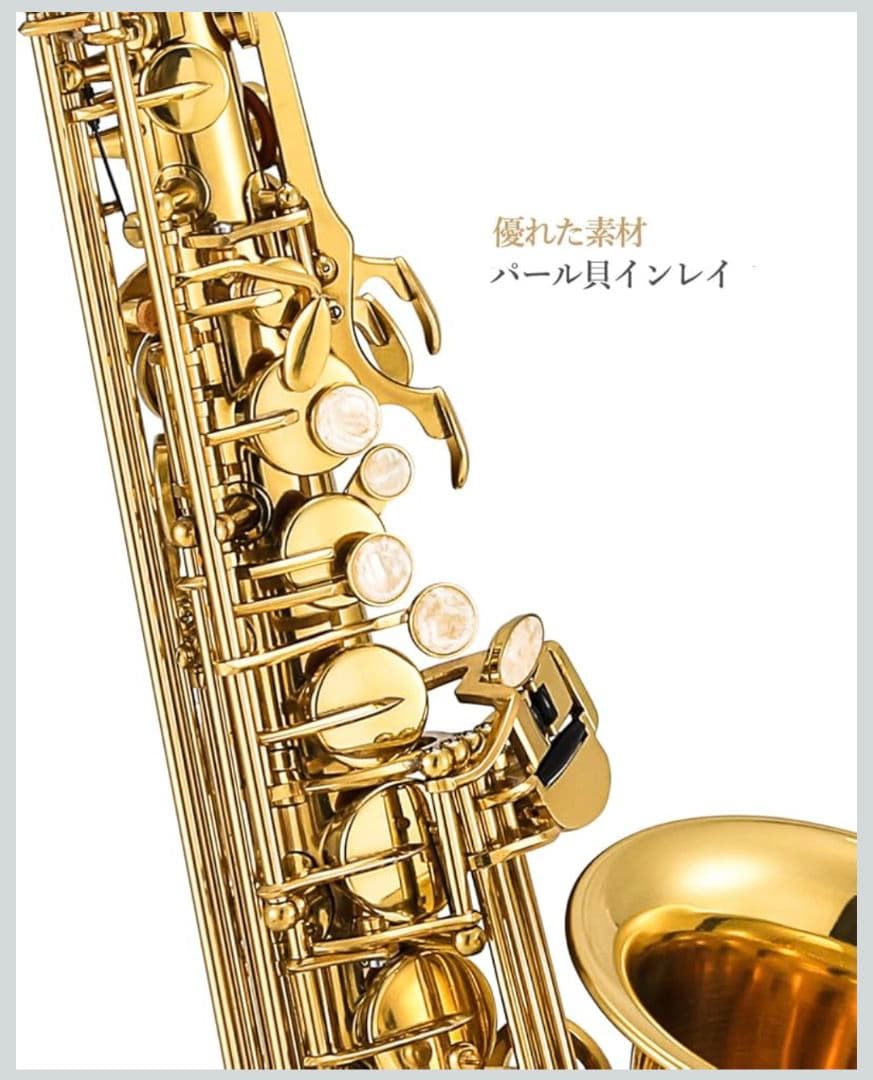 Easter アルトサックス ケース·お手入れ用品·スタンド付きセット