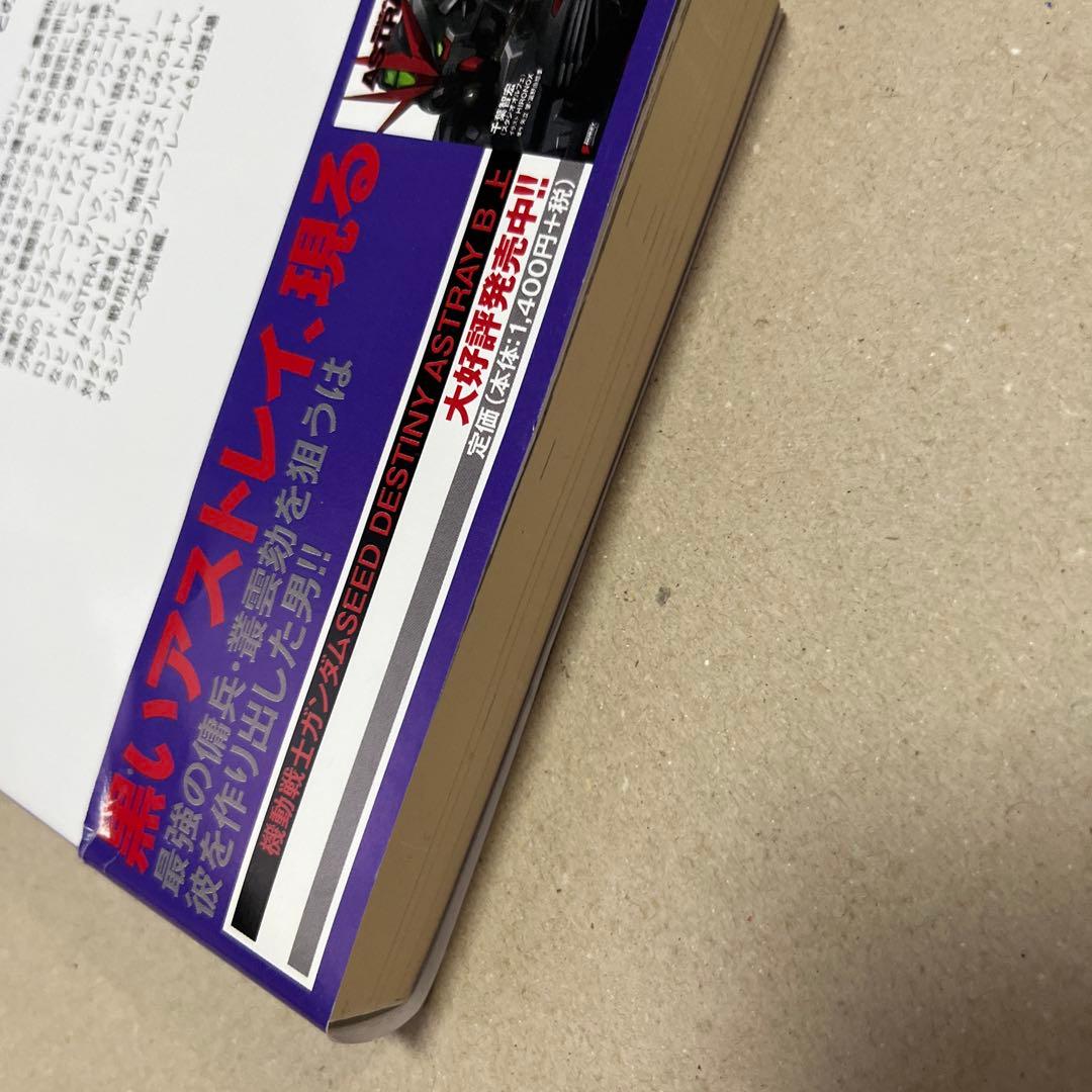 機動戦士ガンダムSEED DESTINY ASTRAY B 初版上下巻セット