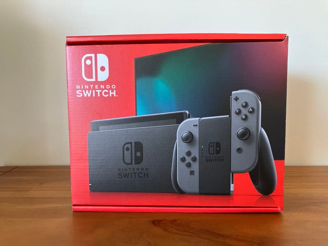 Nintendo Switch グレー 本体 動作確認済/保護ケース付