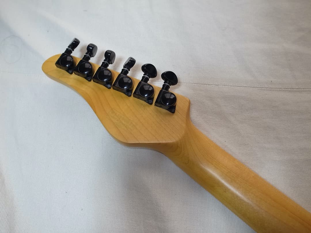 SCHECTER シェクター PT-M/M ピートタウンゼント・テレキャスター