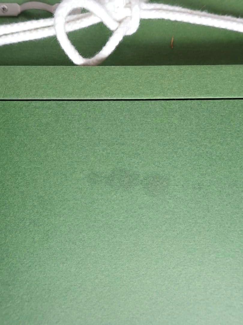 油彩画額縁 F4 デラグラスA 未使用 ペガサス S NA405223【送料込】