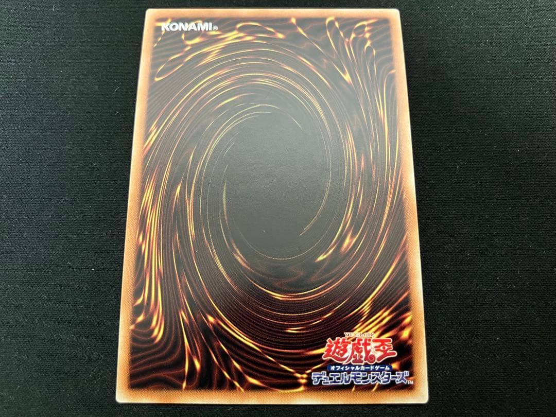 【良品】ドラゴンメイド・チェイム 20th 026