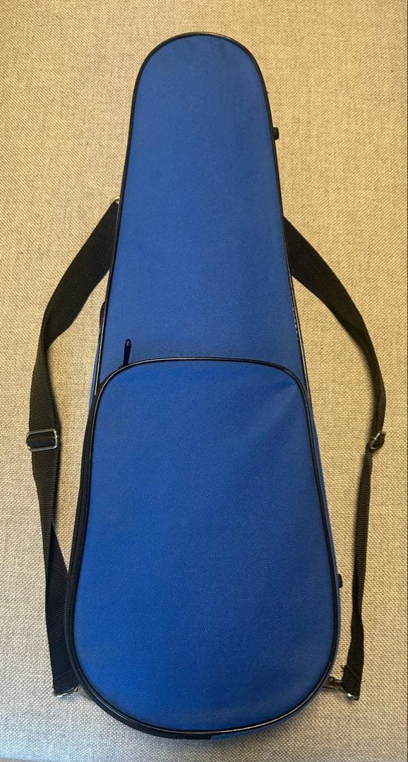 カルロ・ジョルダーノ バイオリン VS-2 1/2 2019年