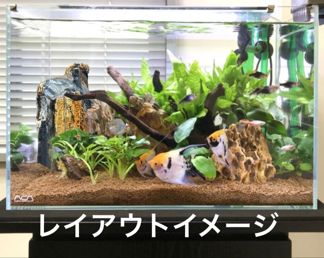 北海道　遠軽町瀬戸瀬産　特大　木化石　パワーストーン　5.4kg アクアリウム