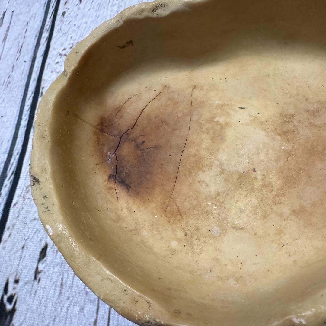 超お買い得セット　匿名配送　送料無料　飼育用品セット　餌皿　エキゾテラ　ボックス