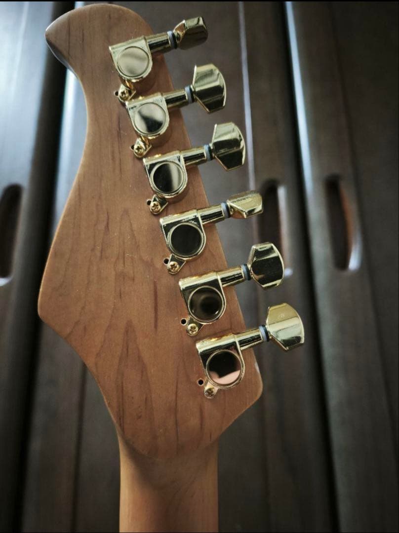 [soni]フジゲンエレキギター、ストラップ、ミニアンプ、シールド、アーム