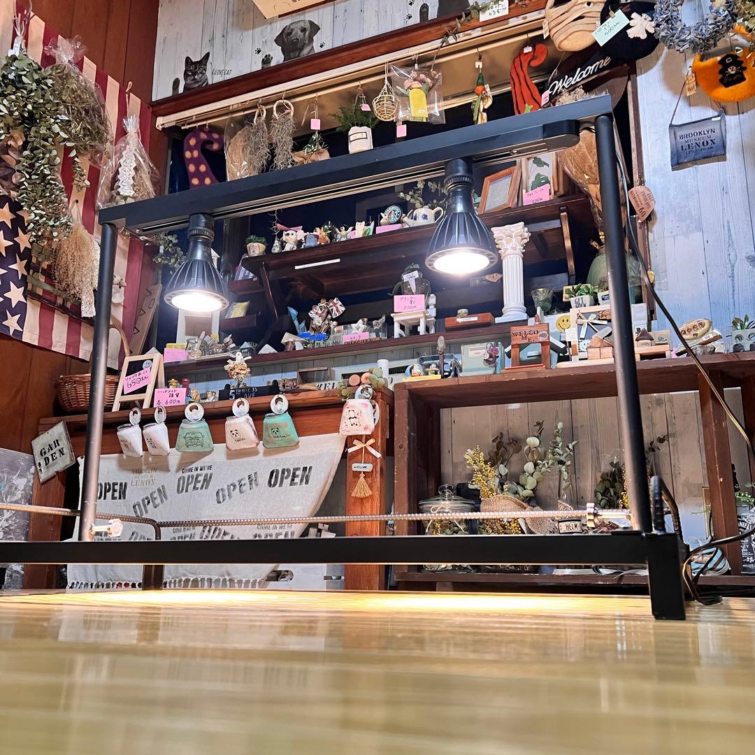 植物棚、高さ調整可能ダクトレール付！アイアンラック　アガベ　アイアンシェルフ