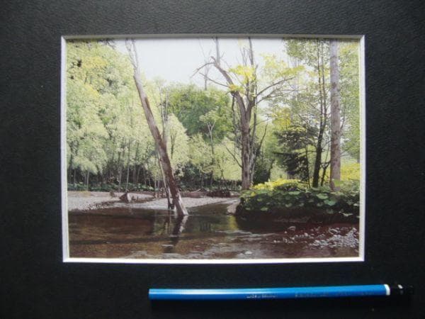 百瀬智宏【水無月の蝉時雨】希少画集画、状態良好、新品高級額装付