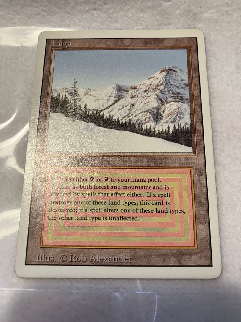 マジック:ザ・ギャザリング MTG Taiga