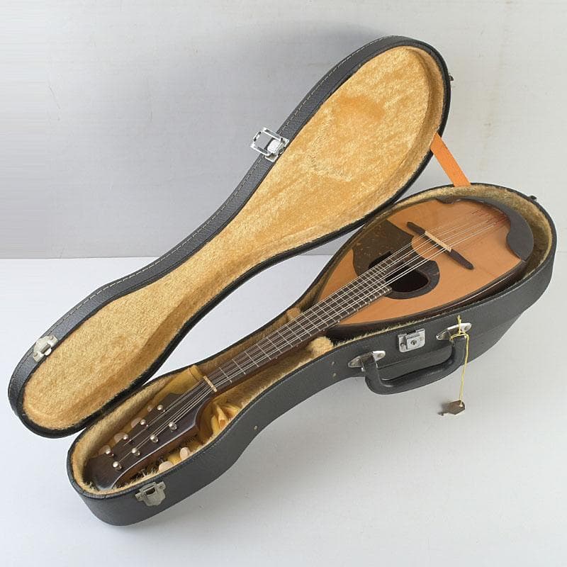 国島マンドリン　国島正治　1976年　№1　ハードケース・ピック付　V9379A