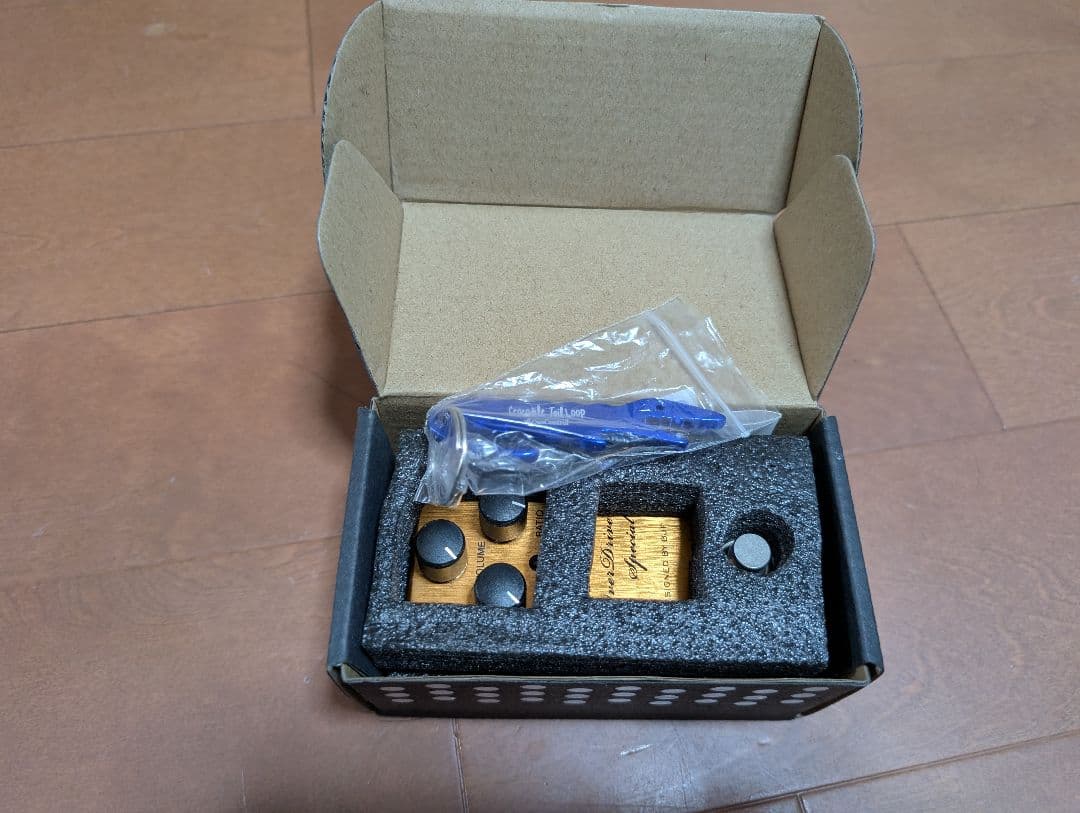 ギター OneControl Golden Acorn OneDrive Special