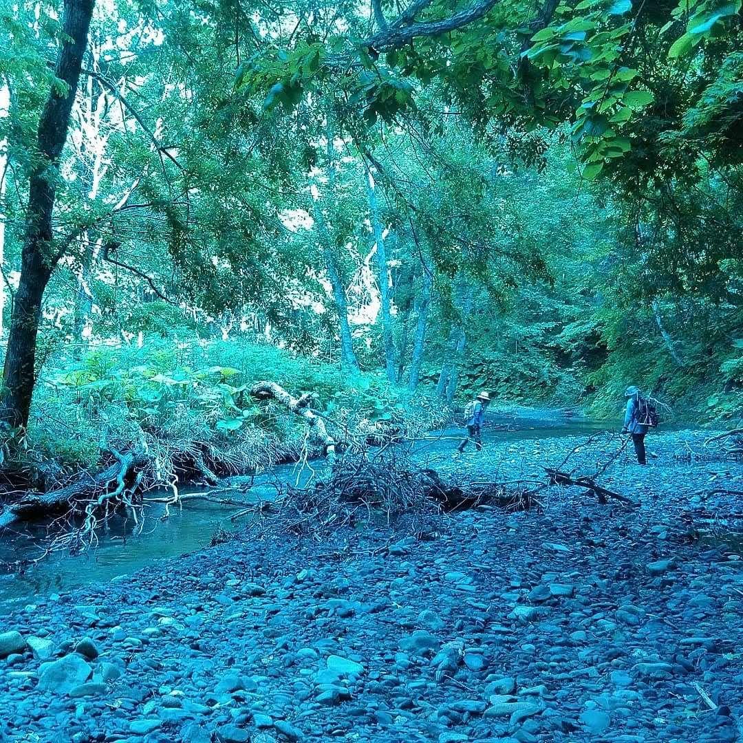 化石　標本　ノジュール原石　アンモナイト　国産　球状コンクリーション