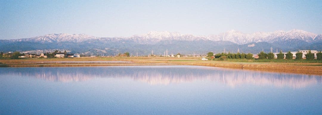 動作確認済&説明書付属 Nikon AF600 コンパクトフィルムカメラ 作例有