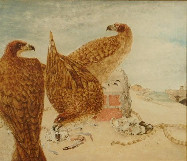 井上覚造　 　　鷲