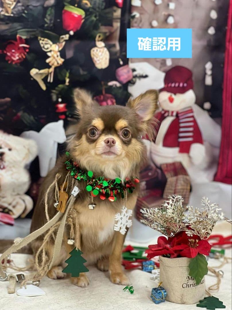 hwara様 　 2025　クリスマス　パッケージ 缶　匿名発送　おまけ付き