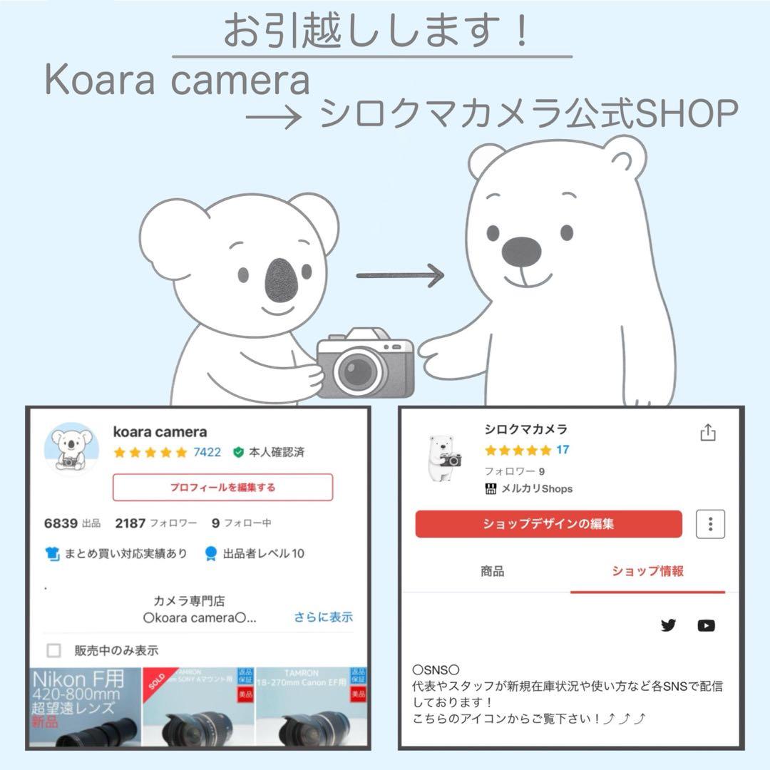 SONY DCR-TRV30 ビデオカメラ 美品 a5187