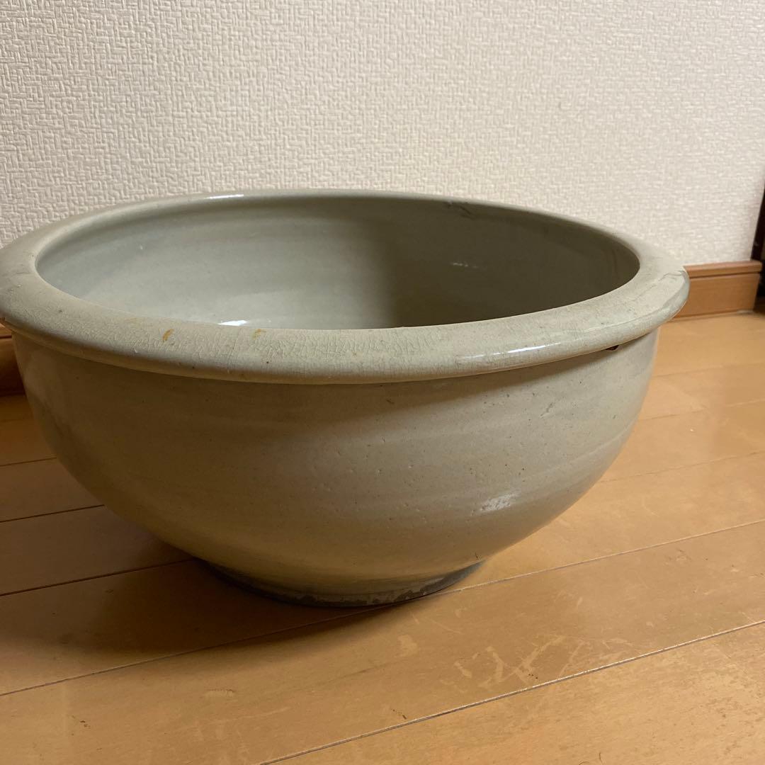 睡蓮鉢　メダカ鉢　大鉢