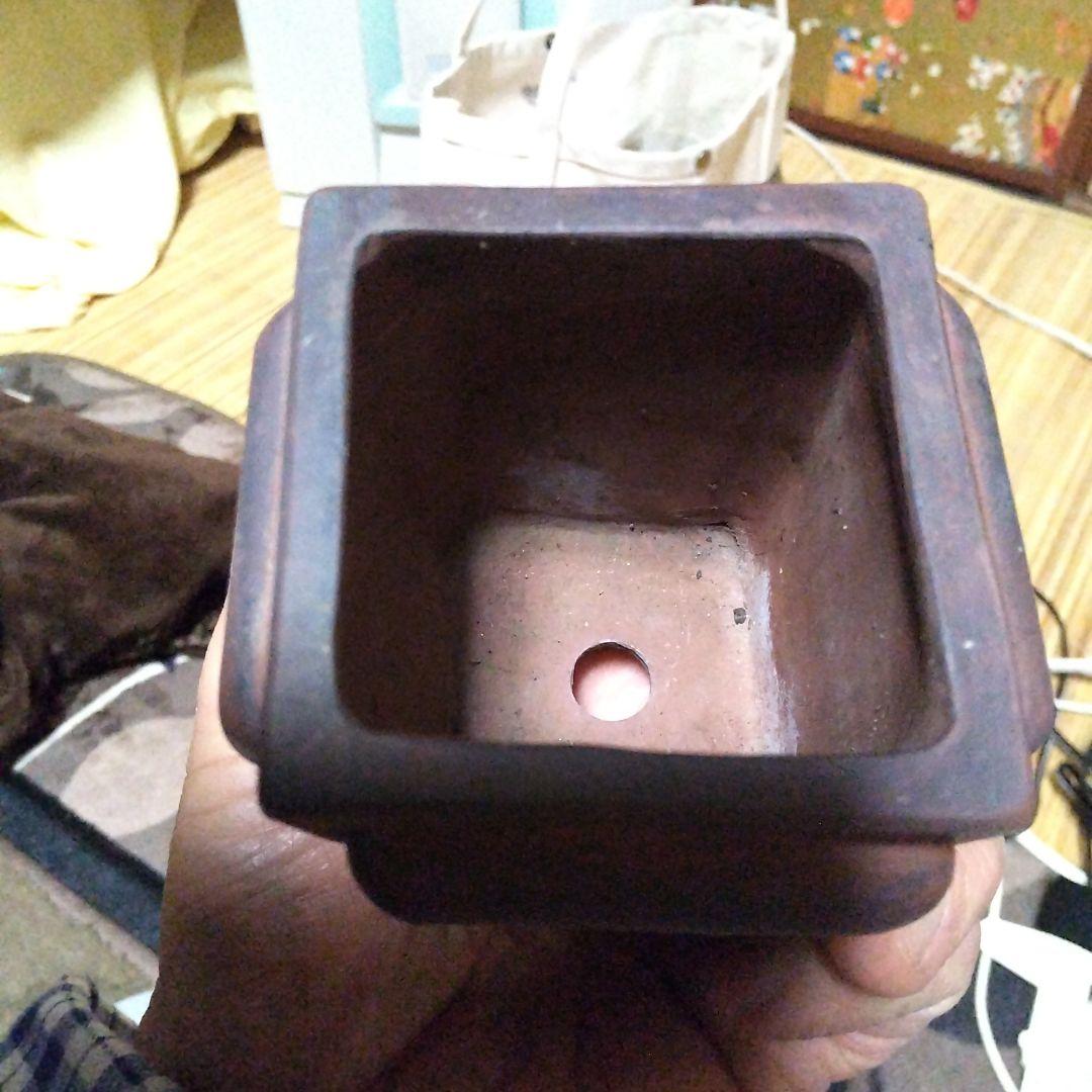 値下げ致しました ミニ鉢、盆栽鉢、盆栽小鉢、鉢、植木鉢、山野草鉢、蘭鉢、盆栽