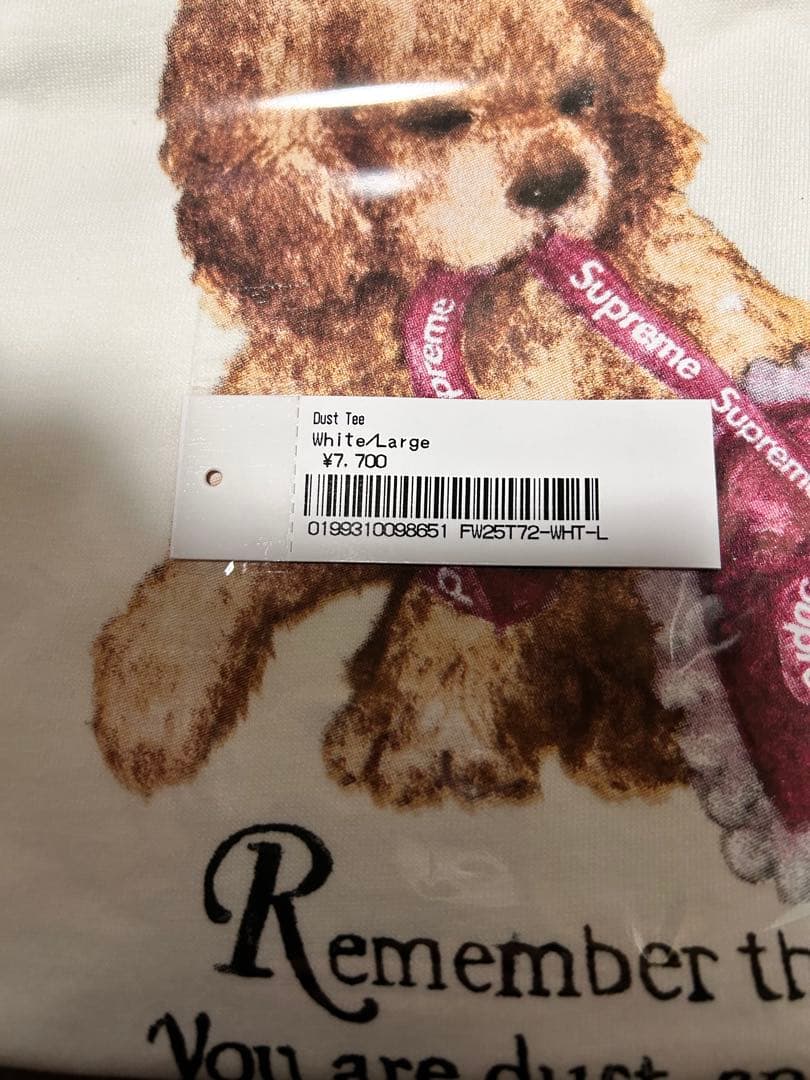 Supreme Dust Tee White ホワイト Ｌ