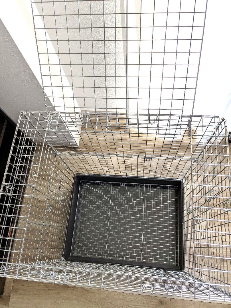 コンフォート60 チンチラスペシャル