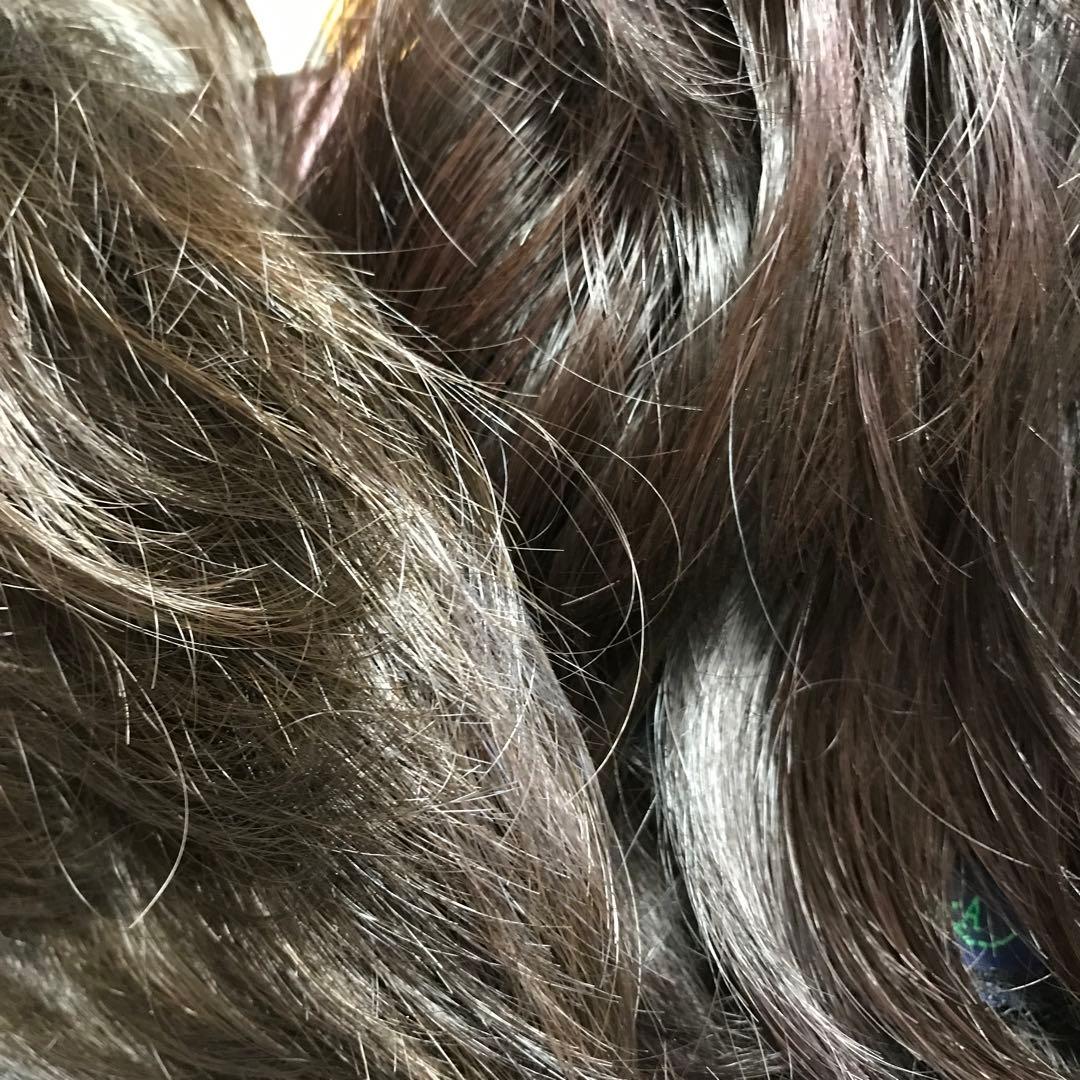 フェザー レオンカウィッグ EX-15 F2モダアクリル人毛