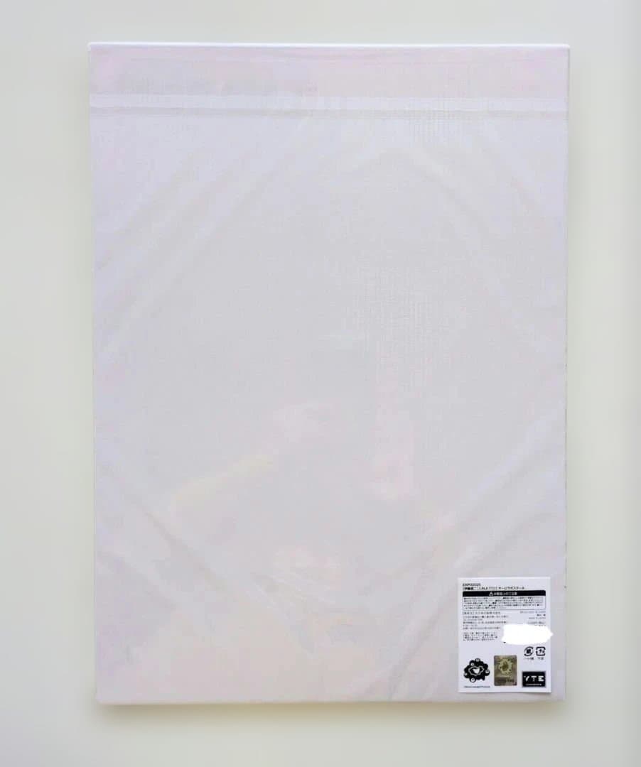 EXPO2025大阪関西万博 伊藤潤二 富江 オーロラポスターA