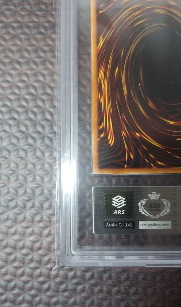 二頭を持つキング・レックス　ARS10【極美品】