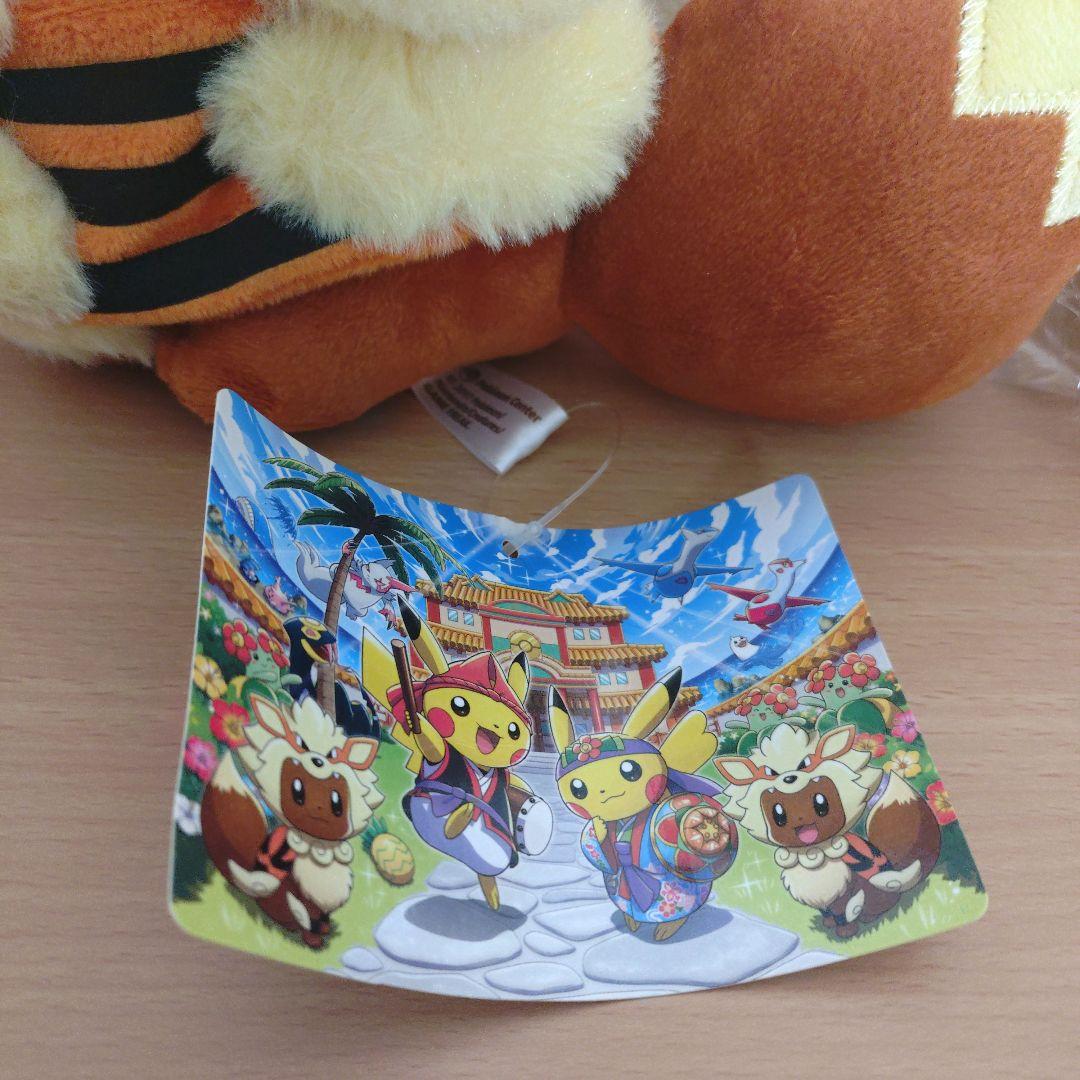 ポンチョを着たイーブイ ウインディ ポケモンセンターオキナワ ポケモン 沖縄限定