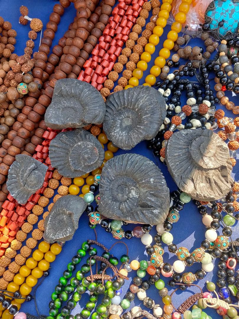 #671 黒いアンモナイト化石 上下セットネパール ヒマラヤ標高3800m