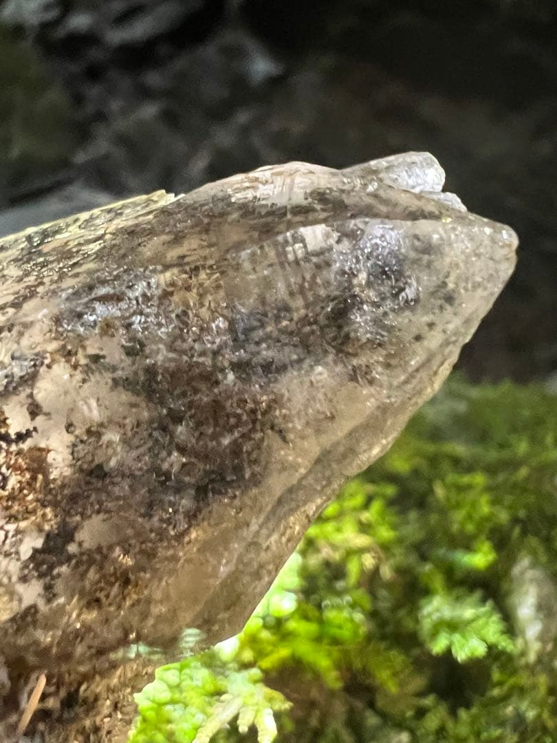 龍脈の精髄 ― ガーデンクォーツ & カテドラル（売上の一部は保護猫活動に使用）