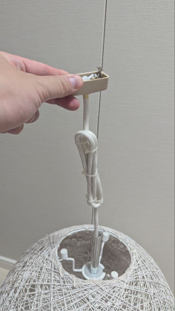 ART WORK STUDIO Mallee-pendantライト