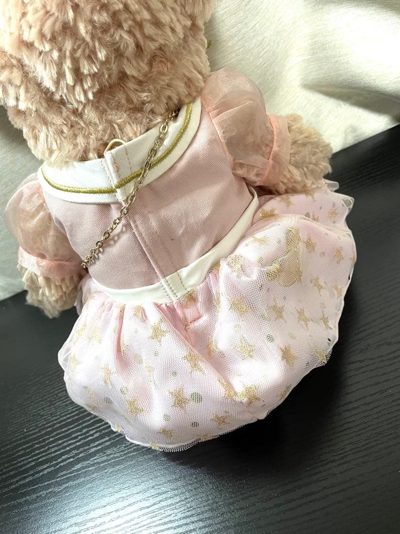 ディズニーシー20周年限定　スターリードリームス　シェリーメイ コスチューム