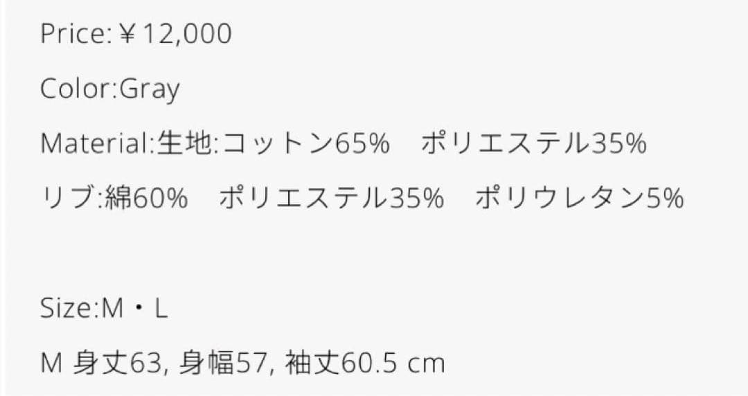 VAUNDY Logo Sweat Tops NIDONE スウェット 新品