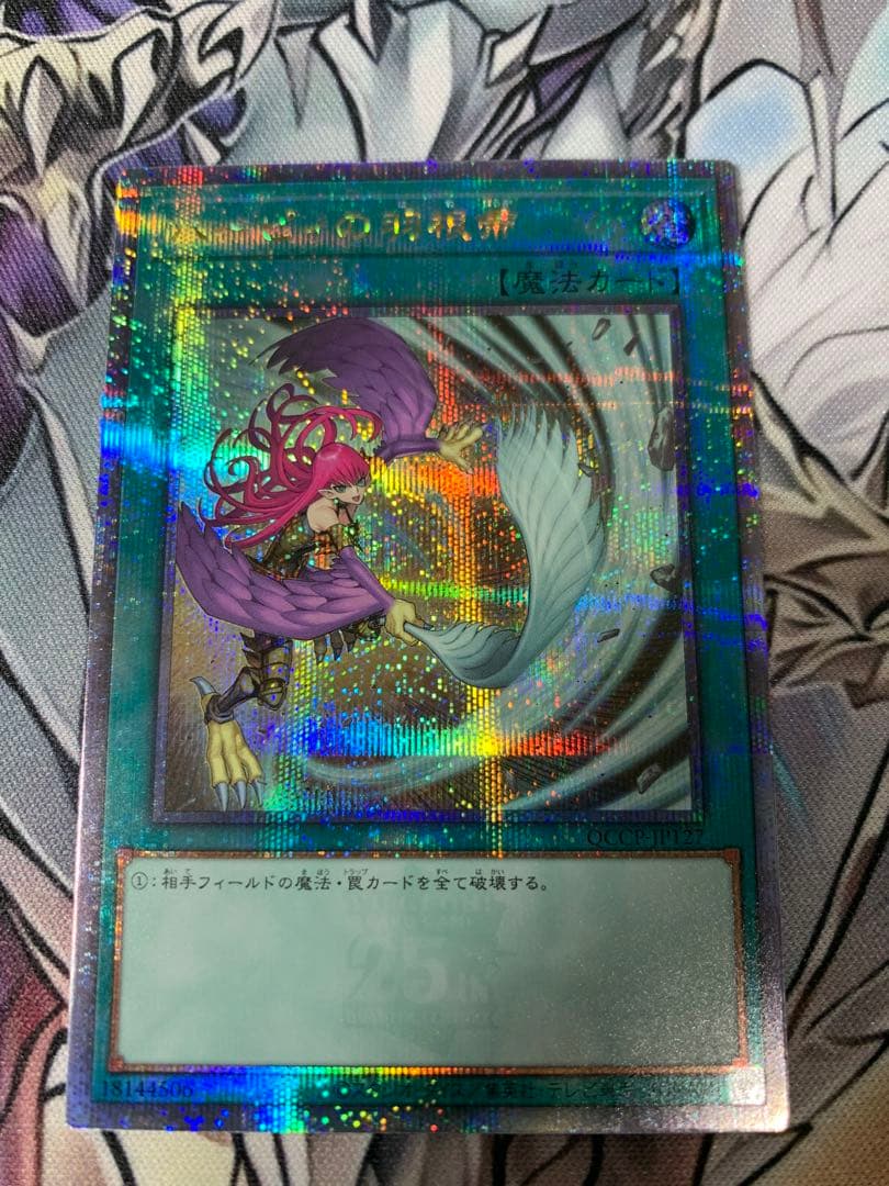 ハーピィの羽根箒　25th 絵違い