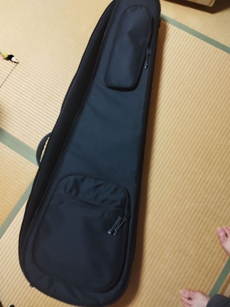 ATELIER Z 30th Anniversary 5弦ベース 値下げ1/5迄