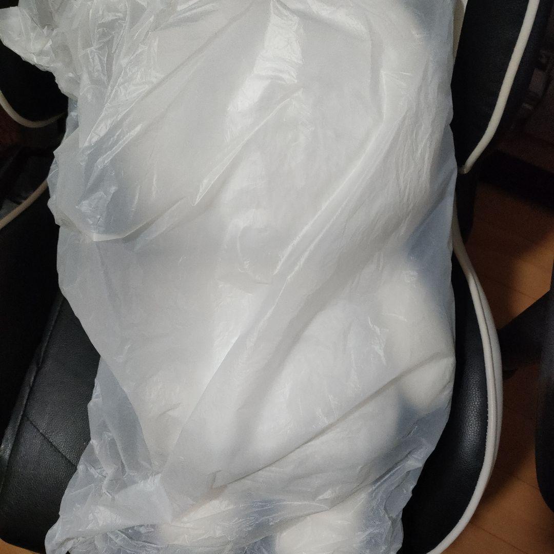 StrayKids テディベア 5'clock リービット SKZOO リノ