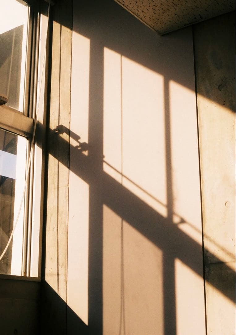 作例あり Nikon F アイレベル＋NIKKOREX F 動作確認済み 状態良