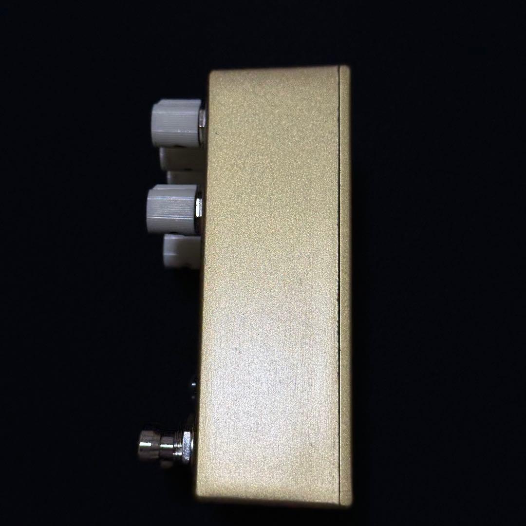 ★限定カラー★ Walrus Audio Slotva Gold Finish