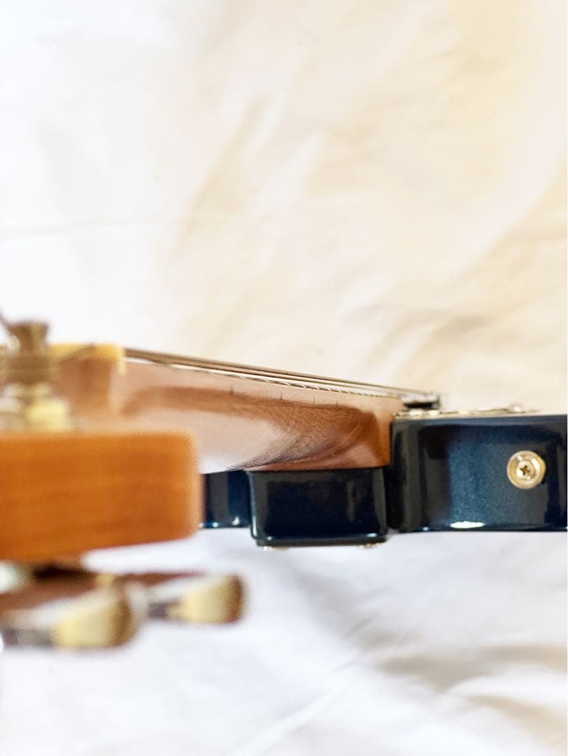 Bacchus BTE-2RSM/M DLPB 中古