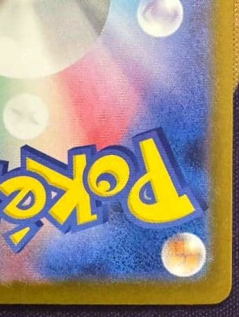 【即日発送】メガリザードンxex sar