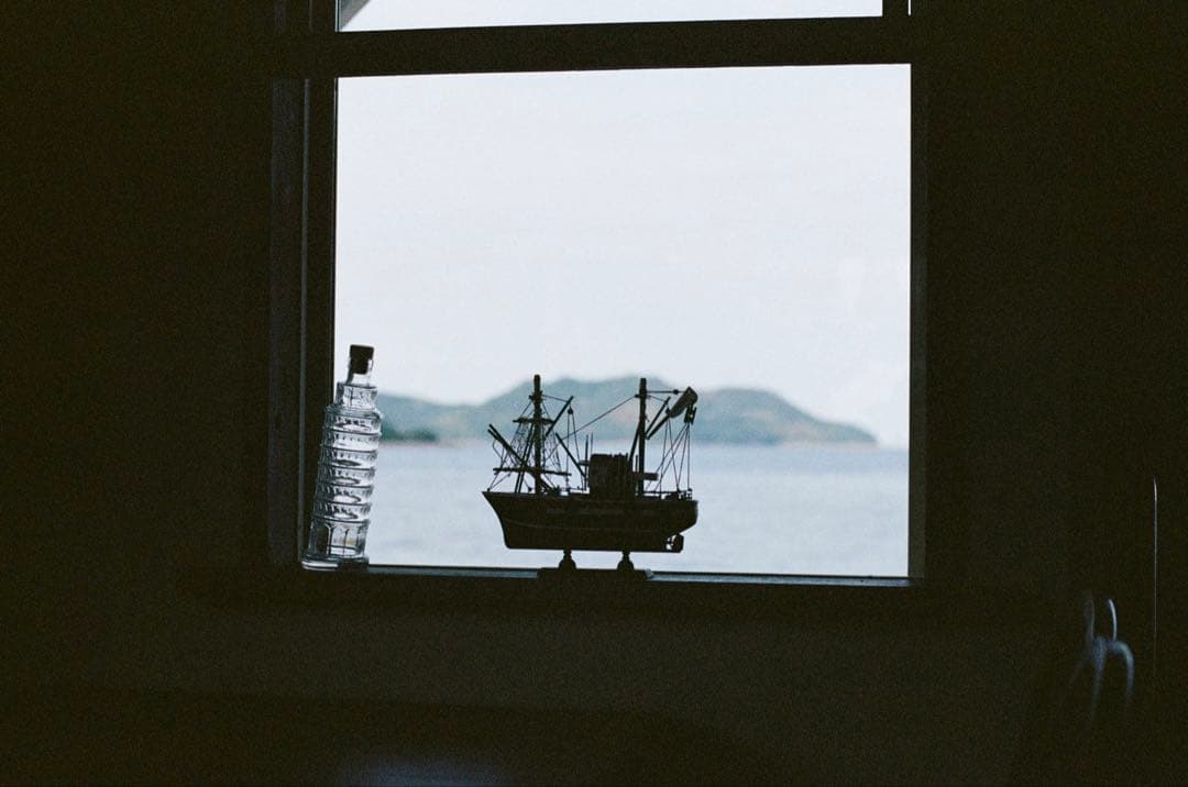 Nikon F80S + MB-16 バッテリーグリップ おまけあり 作例あり