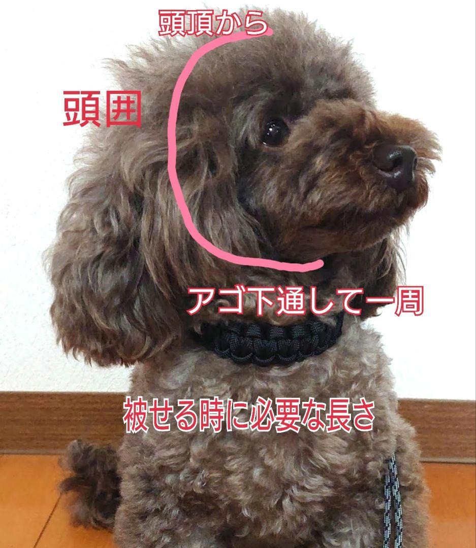 首輪一体型✰パラコードリード　a.m