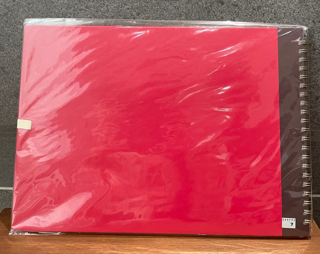 【新品未開封】ポケモン映画 劇場限定販売 カノンのスケッチブック