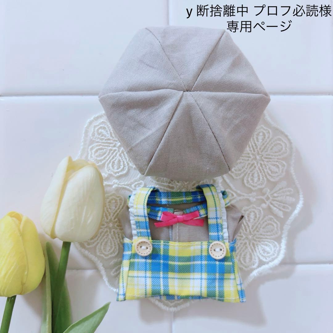 y 断捨離中 プロフ必読ページ