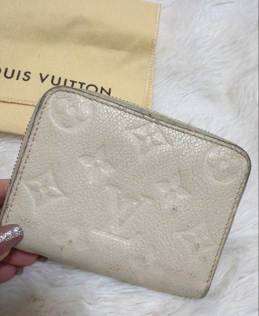 LOUIS VUITTON アンプラント　ケース