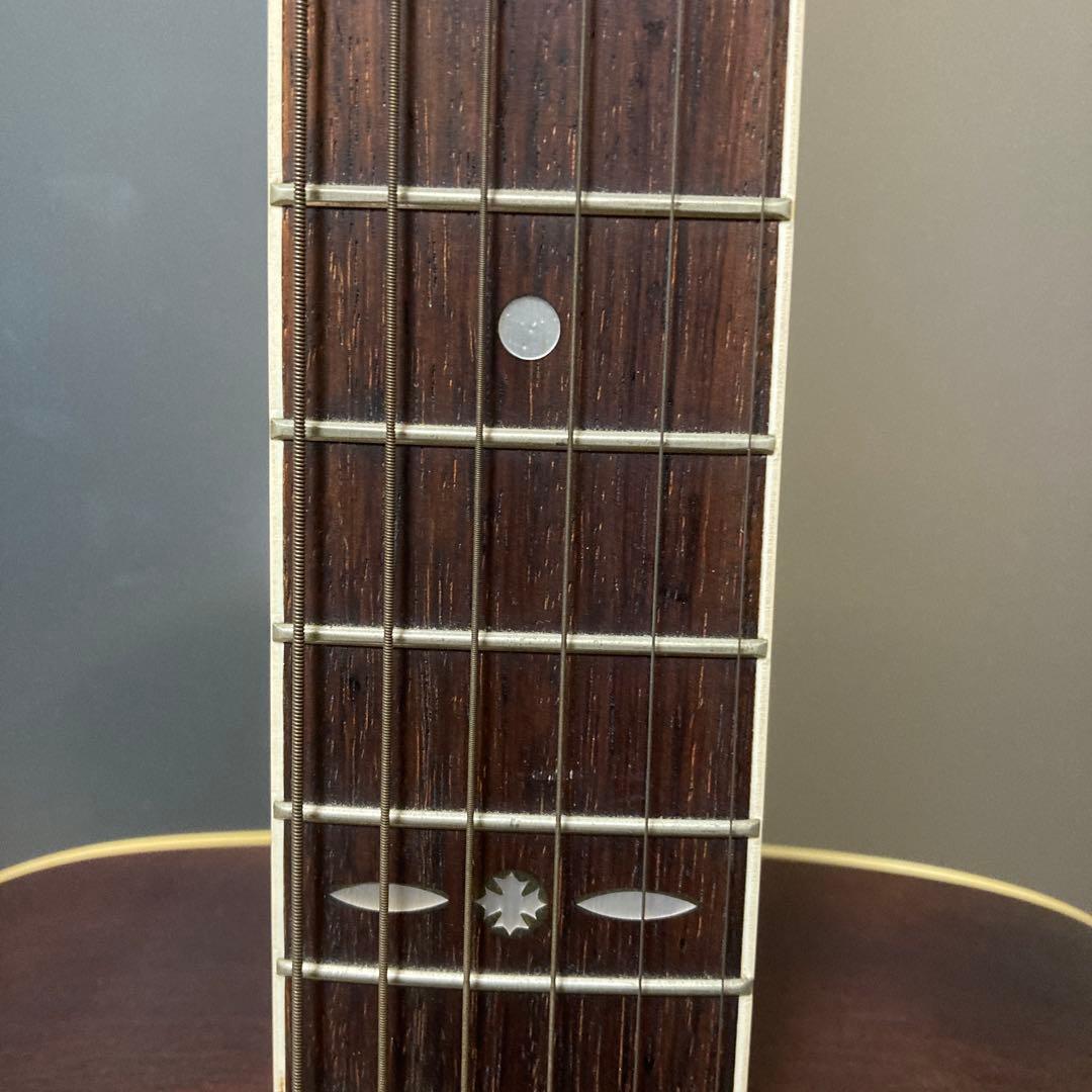 東海楽器 キャッツアイ アコースティックギター CE-180 弦楽器 楽器