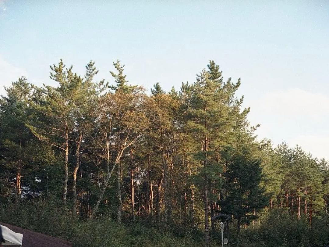 動作良好 ローライRolleiflex 3.5T（3.5Fファインダー付き）