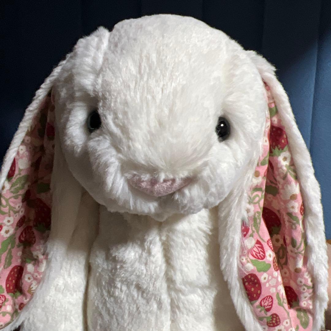 ジェリーキャットうさぎ Blossom Cream Bunny Berry