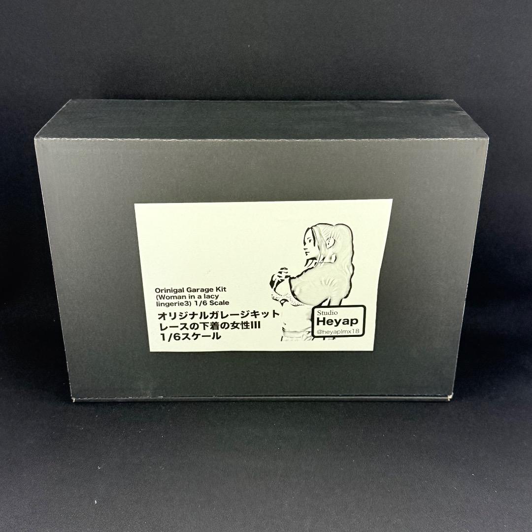 未組立　ガレージキット レースの下着の女性III 1/6スケール