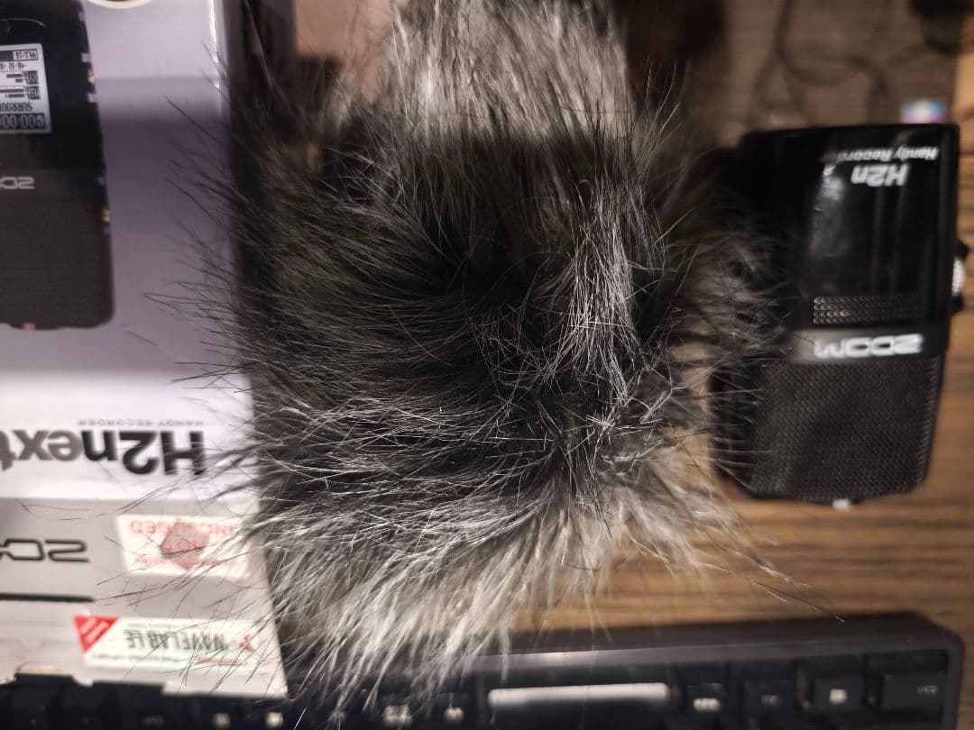 Zoom H2n レコーダー